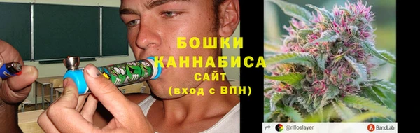 стафф Вязьма